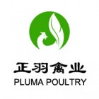 正羽禽業(yè)