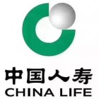 中國(guó)人壽海城支公司