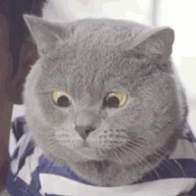 微信圖片_20190916122058.gif